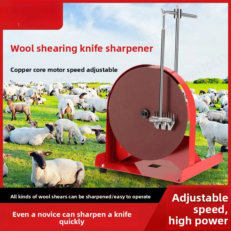 Workshop Tools Knife Sharpener - Affûteur de lames de ciseaux à